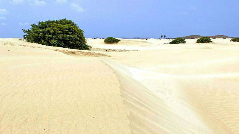 Viana Wüste – Boavista
