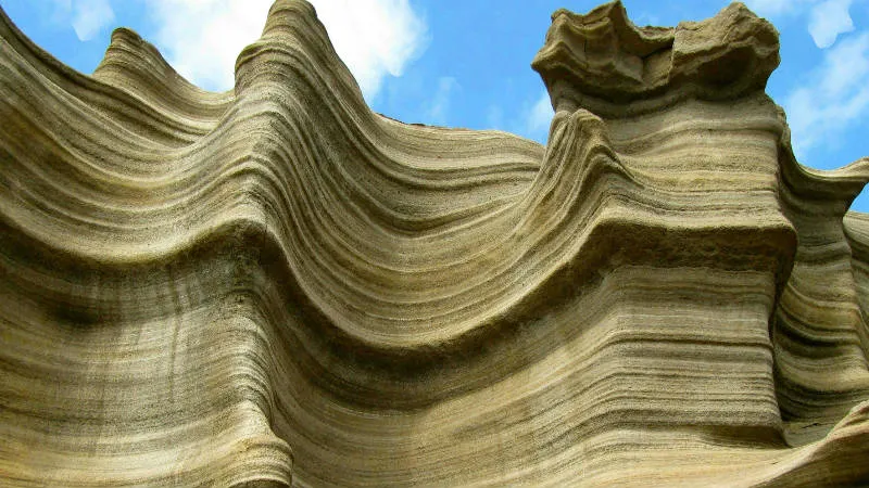 Carbeirinho