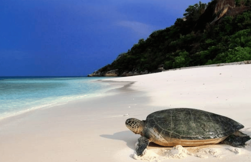 Strand Santana - Maio