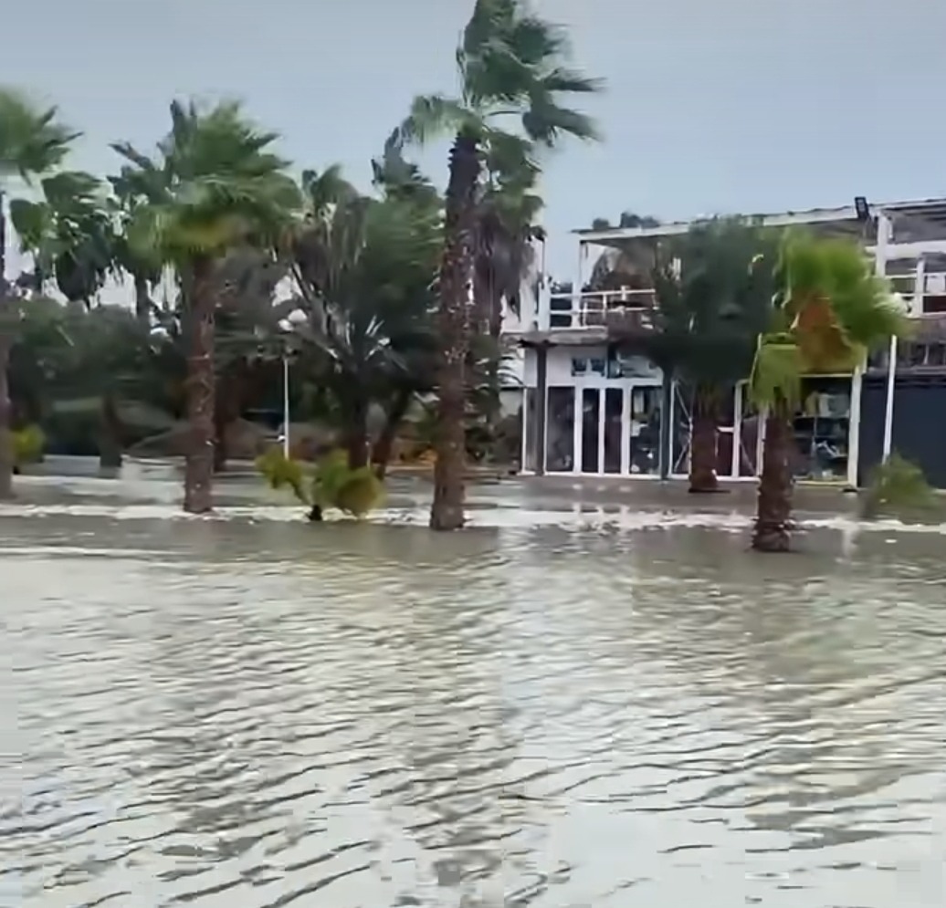 Überflutete Straße mit Palmen in Santa Maria während des Sturms Gonzalo.